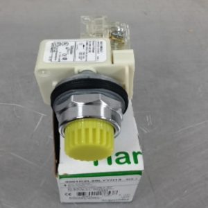 9001K2L35LYYH13 SQUARE D/TELEMECANIQUE PUSH BUTTON COMPLETE ASSEMBLIES