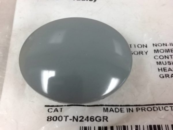 800T-N246GR ALLEN BRADLEY 800TN246GR