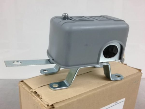 9036DG2R FLOAT SWITCH NEMA1    EA