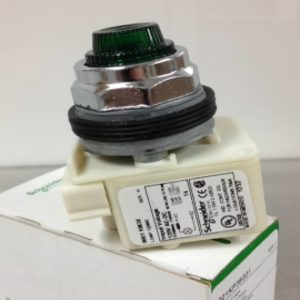 9001KP38G31 SQUARE D/TELEMECANIQUE PILOT LIGHT COMPLETE ASSEMBLIES