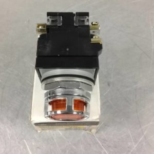 ILLUMINATED PUSHBUTTON