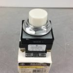 ILLUMINATED PUSHBUTTON