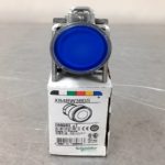 XB4BW36G5 SQUARE D/TELEMECANIQUE PUSH BUTTON COMPLETE ASSEMBLIES