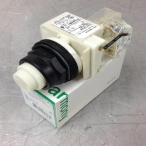 9001SKT38LWW31 SQUARE D/TELEMECANIQUE PILOT LIGHT COMPONENTS