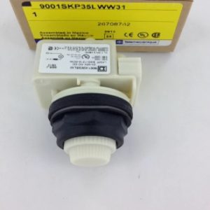 9001SKP35LWW31 SQUARE D/TELEMECANIQUE PILOT LIGHT COMPONENTS